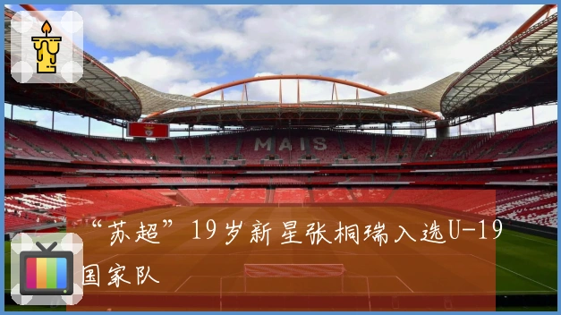 “苏超”19岁新星张桐瑞入选U-19国家队